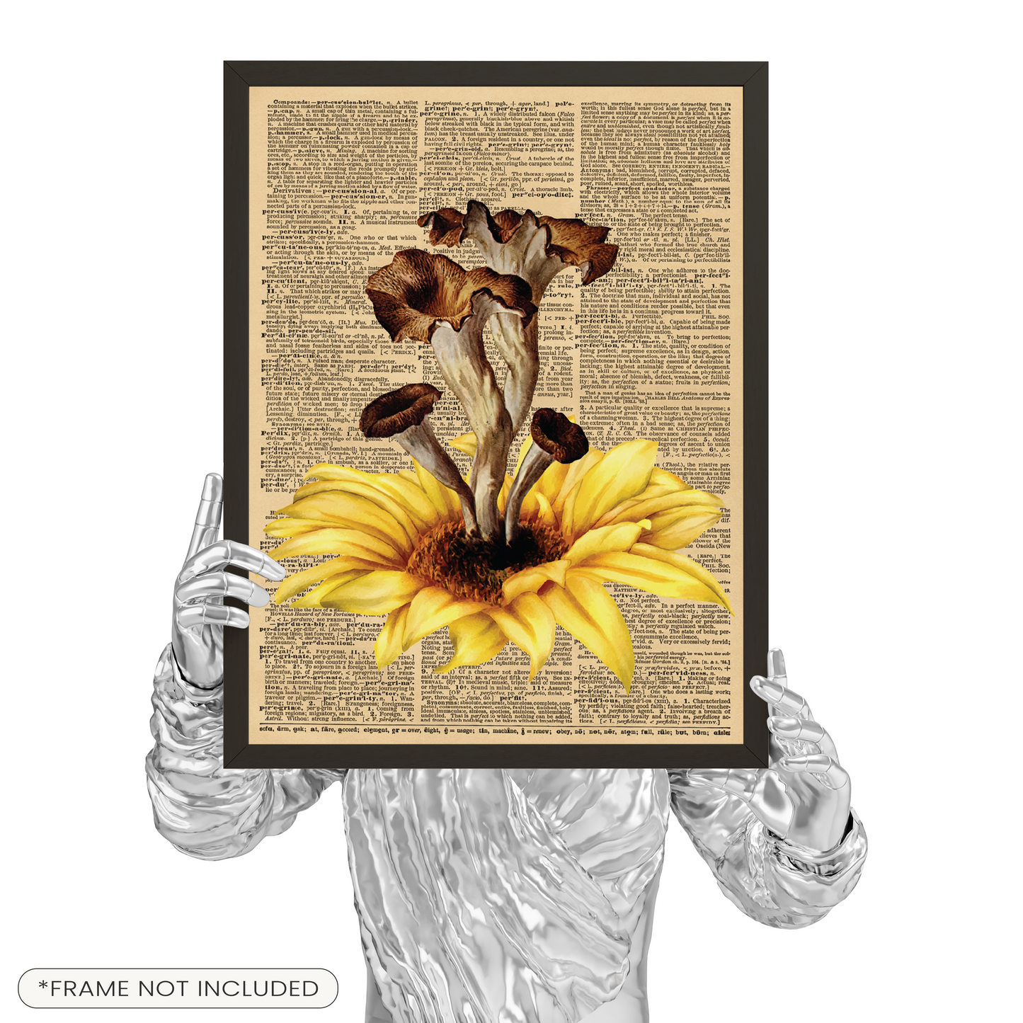 Academia Poster