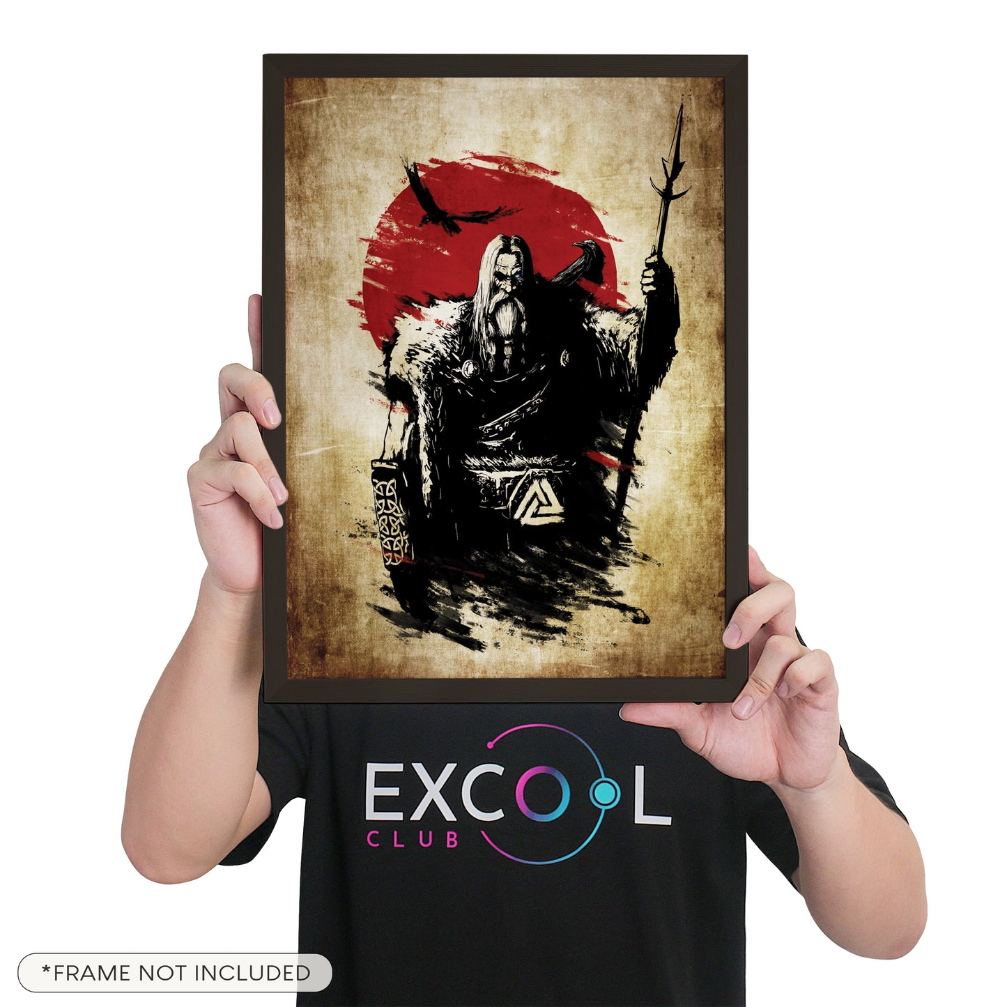 Viking Poster