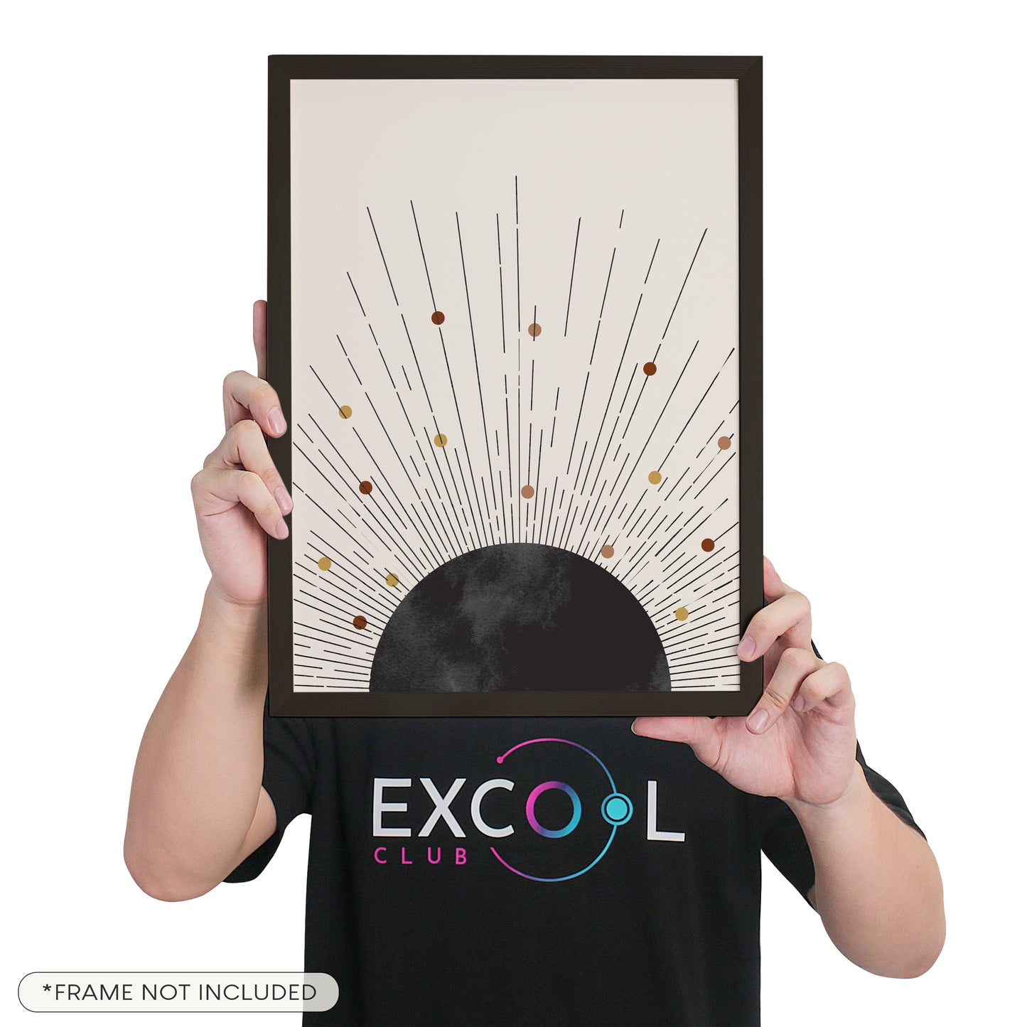 Mid Century Modern Poster