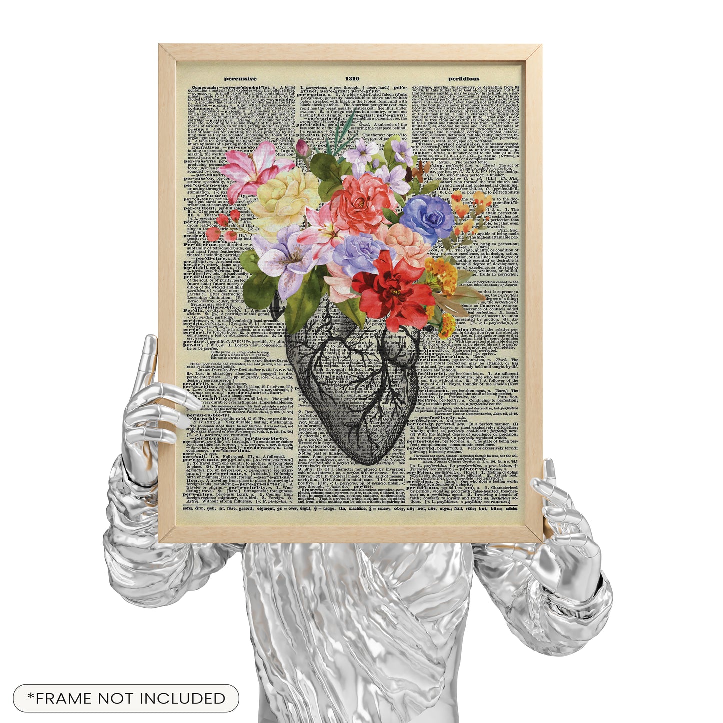 Anatomy Poster