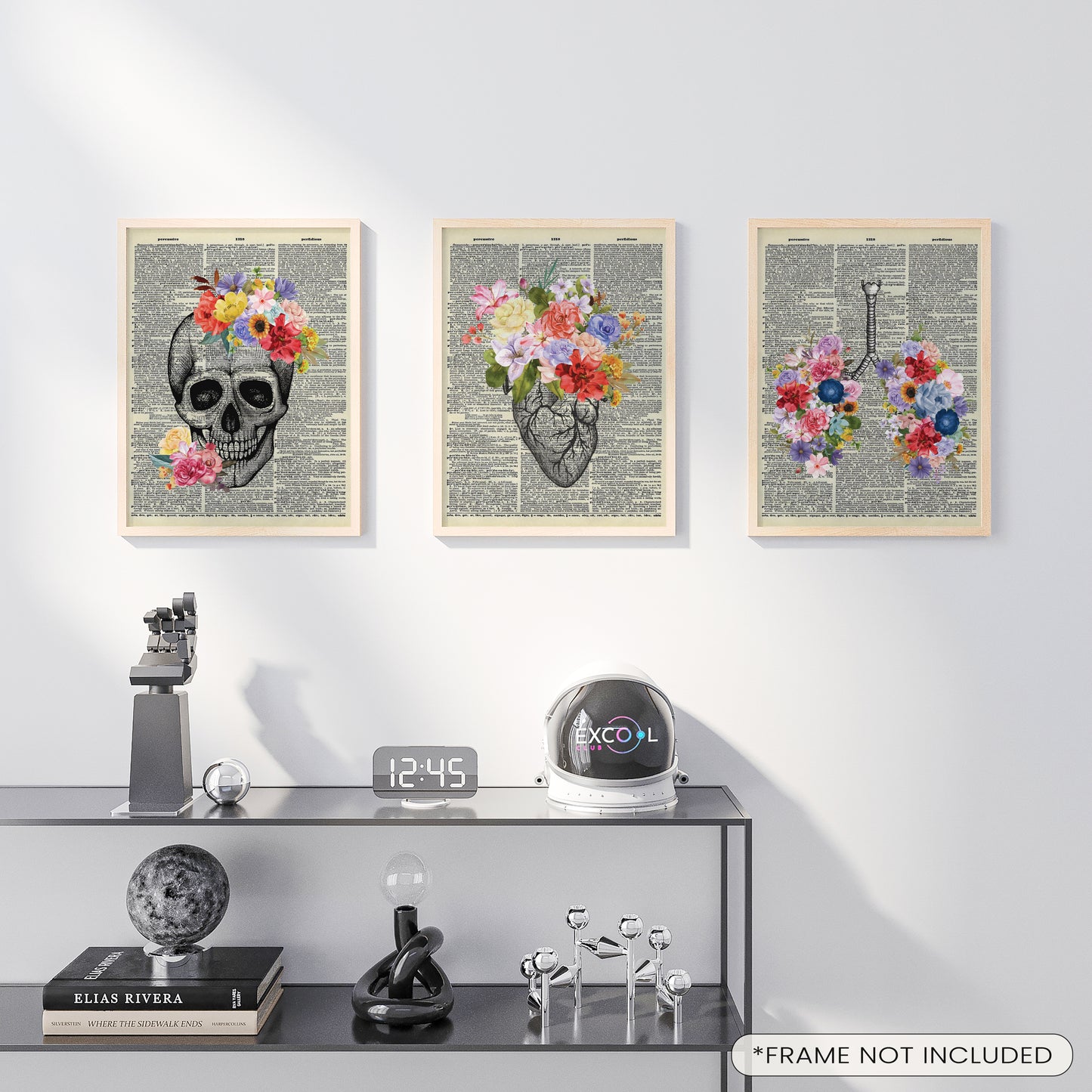 Anatomy Poster